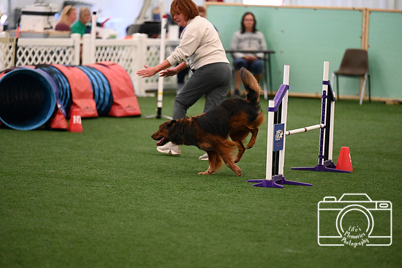 LMP_3568